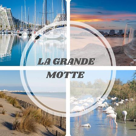Le Dream Beach-Terrasse-Vue Mer D'Exception-Wifi-Parking - Top Pros Servicesconciergerie Palavas-les-Flots Ngoại thất bức ảnh